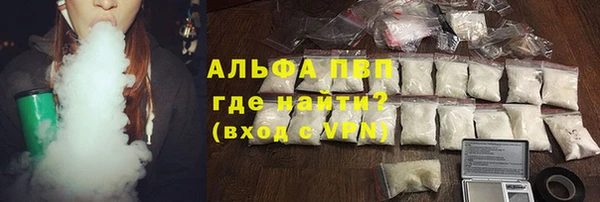 шишки Белокуриха