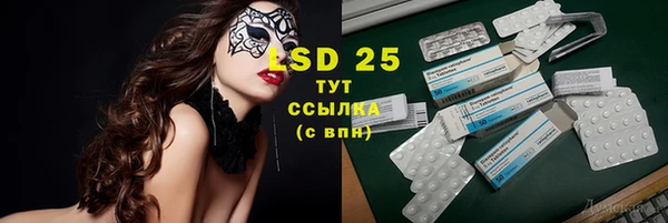 шишки Белокуриха