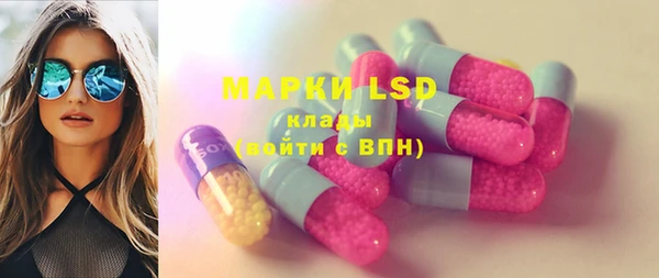 шишки Белокуриха