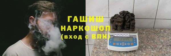 шишки Белокуриха