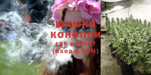 шишки Белокуриха