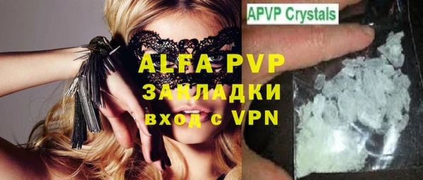 шишки Белокуриха