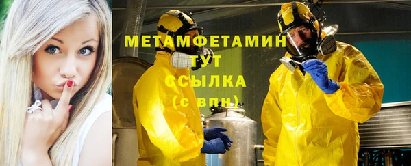 шишки Белокуриха