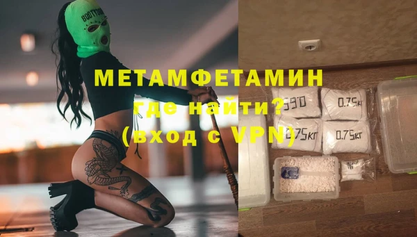 шишки Белокуриха