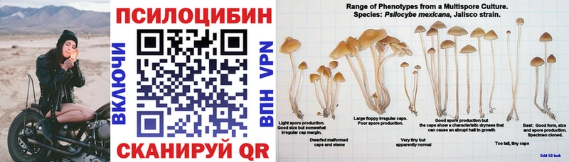 Купить  Лукоянов  Псилоцибиновые грибы MAGIC MUSHROOMS 